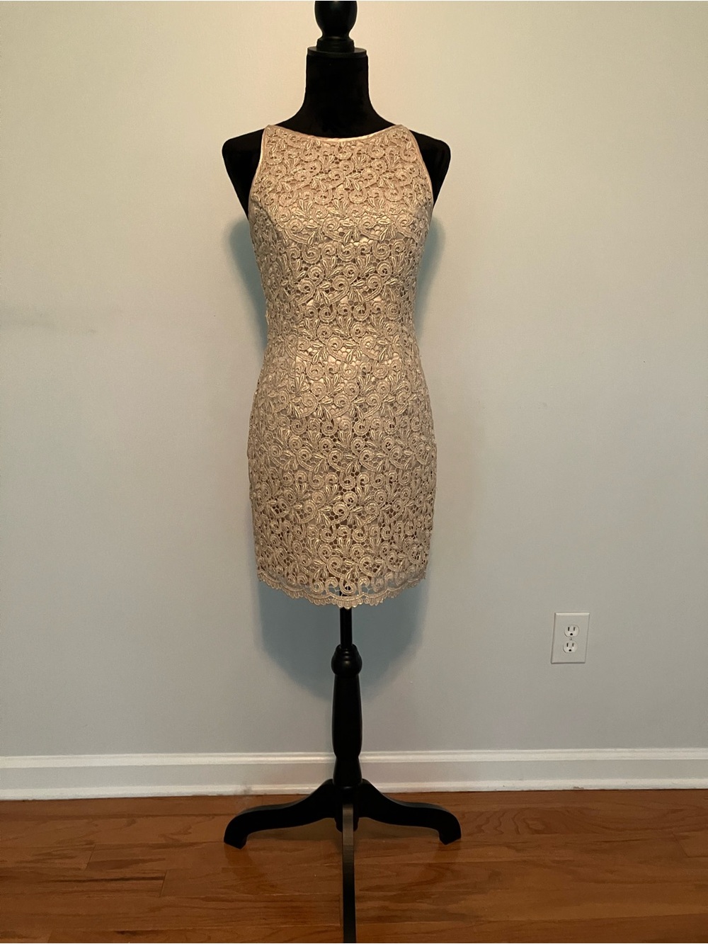 Sleeveless Lace Sheath Dress in Beige